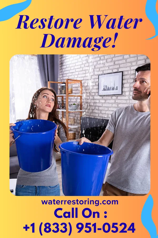water restoration Citywide Water Repair Masters Collegeville