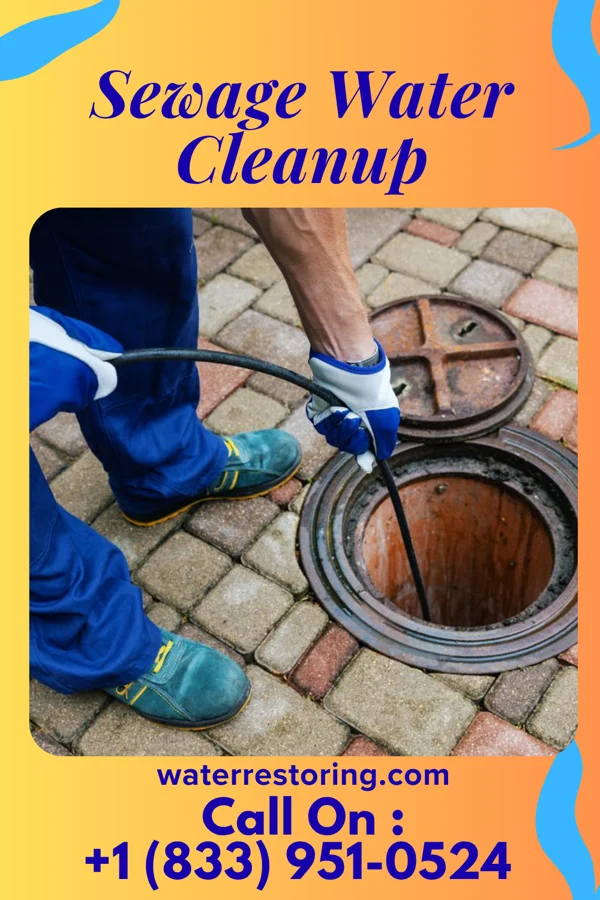 Sewage Water Cleanup in Collegeville, IN